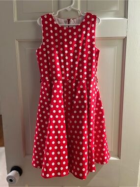 ‘Minnie Mouse’ Red Polka Dot Fit-and-Flare Dress